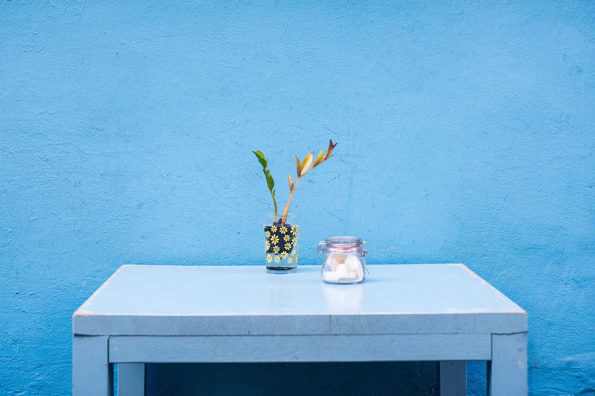 Appartement Art Déco rénové avec moulures conservées et mobilier contemporain
